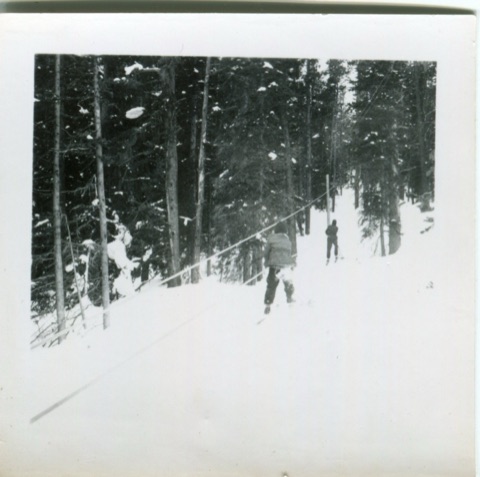 1950s Tow Rope through trees