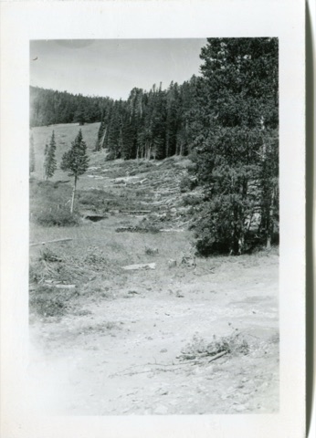 1960s Cutting Down Trees  for more terrain to ski