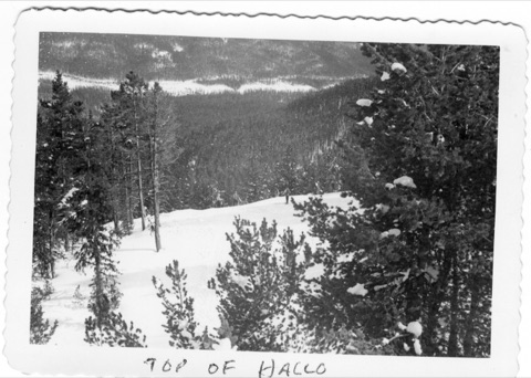 1950s Top of Hall-o