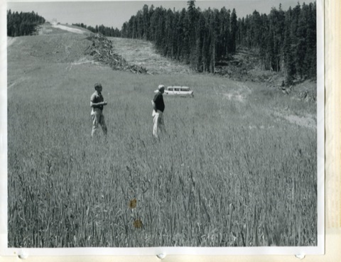 1950s Earl Hall on the Hall-o