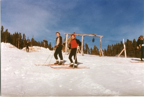 1970s Family color