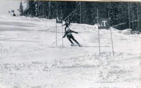 1971 Downhill Toole