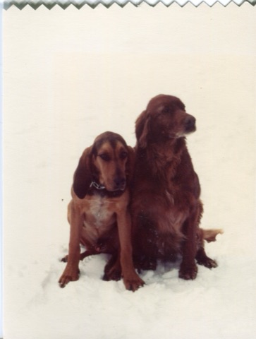 1970s Fred and Gus? Original "Showdown Dogs"