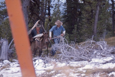 1974 Film Crew at Showdown cowboys with mule and sign