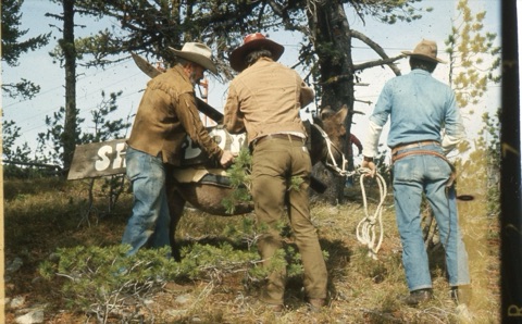 1974 Film Crew at Showdown design