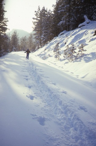 1980s Cross Country Skiers Near Showdown in the Little Belts 1