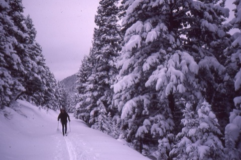 1980s Cross Country Skiers Near Showdown in the Little Belts 8