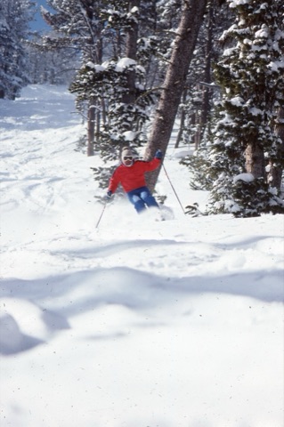 1989 Jim Gold in power and trees