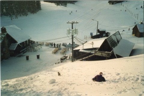 1990s Charley Willett sliding down to lodge with Tank the puppy