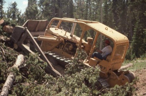 1990s Joe Pinski clearing trees with D7
