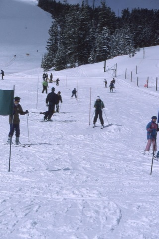 1990s Learning Area