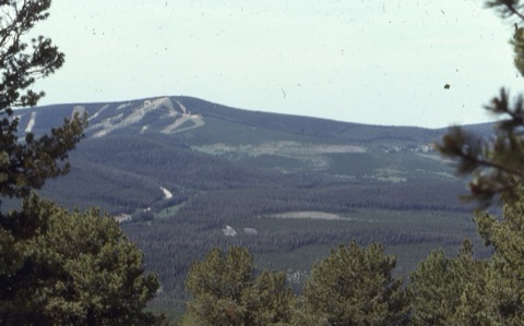 1990s Showdown and Rec Area in summer