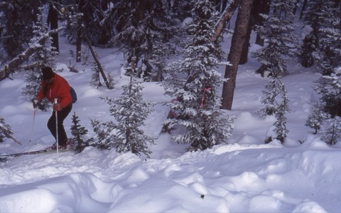 1990s Chris Quinn — Ski Patrol roping off avalanche training