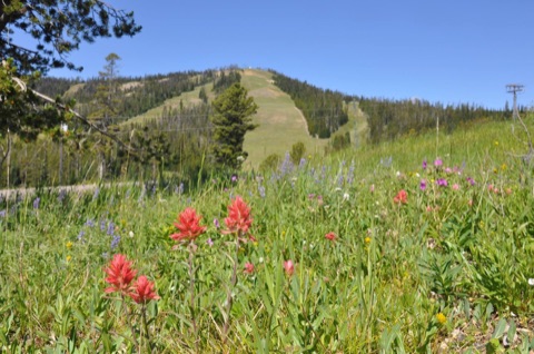 2017 Unknown Facebook Post from 07-14-2017
