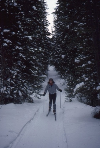 1990s unknown kid cross country skiing in trees