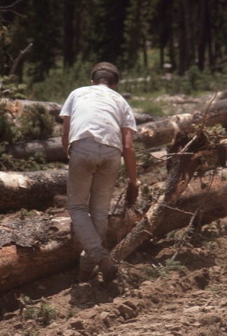 1990s unknown man moving logs on new run