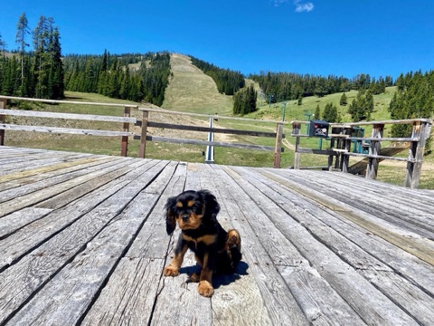 2020 Unknown Facebook Post from 06-26-2020