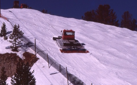 2001 Winch Cats on Big 7-2