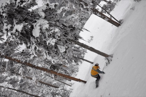 2009 Bodie Morrison boarding trees on Dynamite
