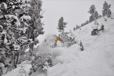 2009 Bodie Morrison snowboards in powder and trees on Dynamite