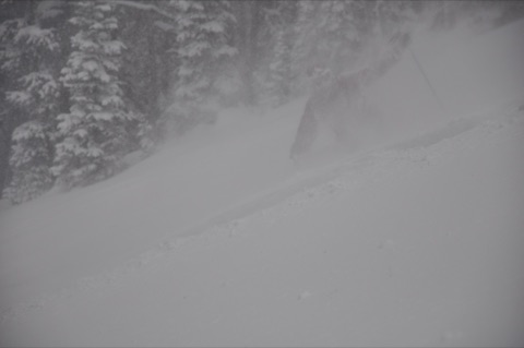 2009 Evan Haugan white out
