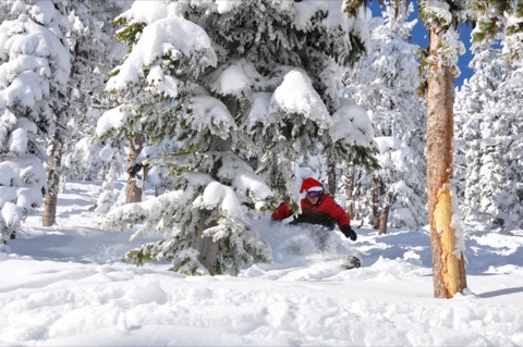 2009 Frank Feeback in trees and powder