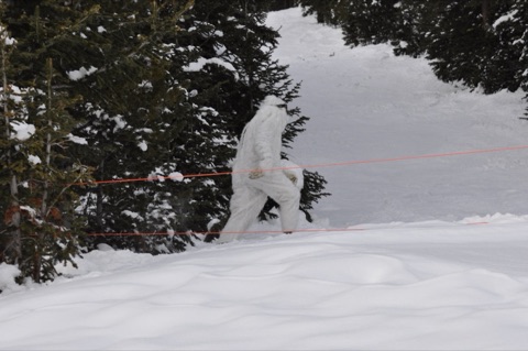 2009 Yeti walking through trees near run at Showdown