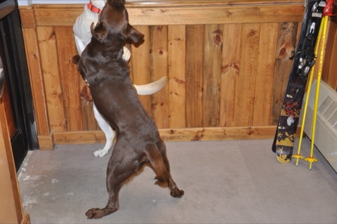 2010 Tank and Zephyr playing3