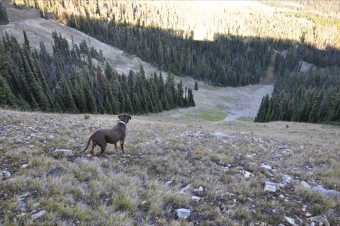 2010 Tank standing on Glory Hole looking down