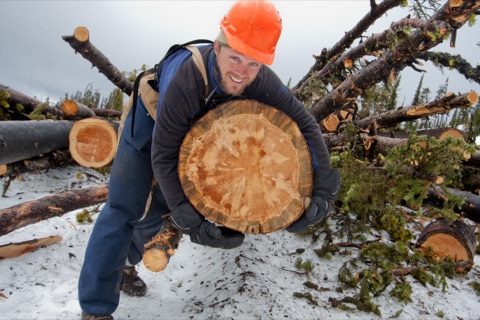 2011 Ben Haugan and big trees near snowcat hauling logs closeup