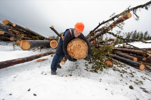 2011 Ben Haugan and big trees near snowcat hauling logs
