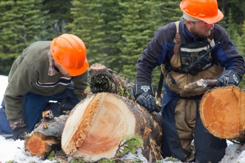 2011 Ben Haugan, Jesse Gregory looking at logs snowcat hauling logs