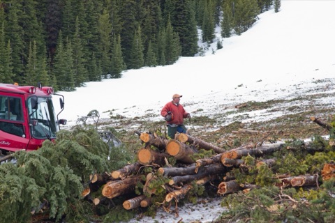 2011 Dave Hunt near snowcat hauling logs
