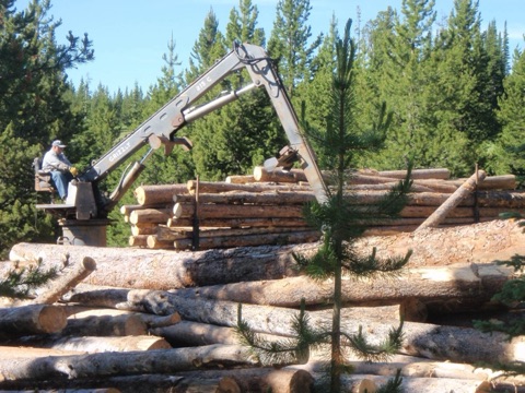 2011 Logging operator