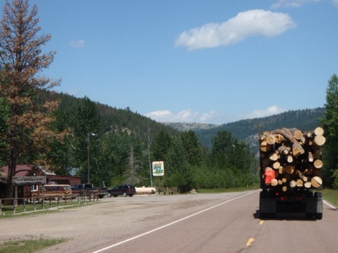 2011 Logging truck from Shwodown driving past Lazy Doe