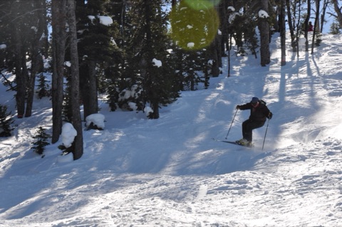 2011 Mike Gold