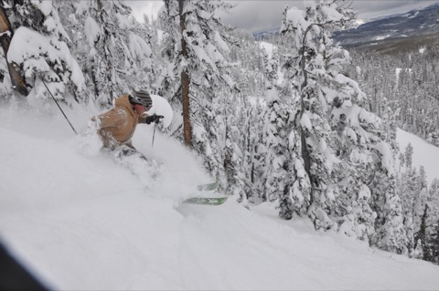 2011 Murry Johnston powder