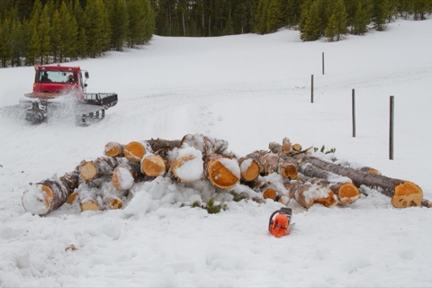 2011 Pile of logs snowcat hauling logs