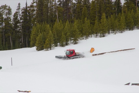 2011 Snowcat hauling logs