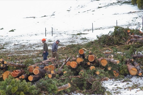 2011 Spencer Paul, Jesse Gregory near snowcat hauling logs
