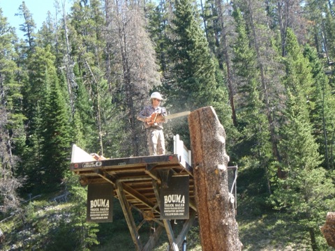 2013 Ben Haugan chain saw carving sign out of tree of Prospector double chairlift during