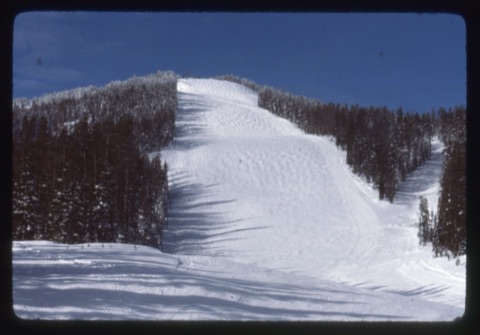 1979 Bluebird day at Showdown