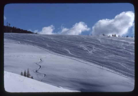 1979 Lower Ripley