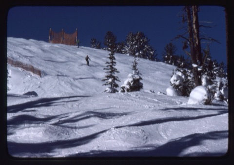 1979 Shot from Upper Ripley towards Upper Headwall of Big 7