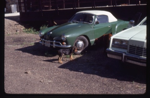 1981 Fred near Karmen Ghia