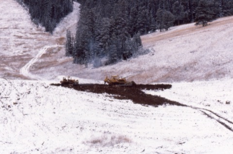 1981 Grading the new learning area1