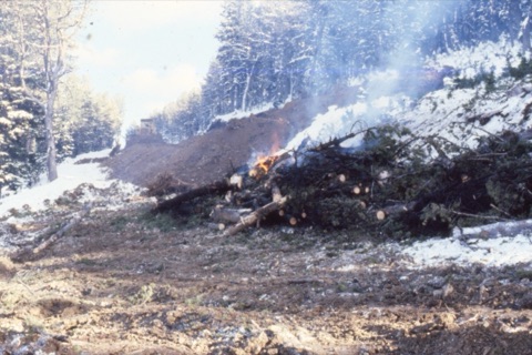 1981 Joe Pinski building the upper Prentice Run7