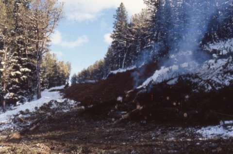 1981 Joe Pinski building the upper Prentice Run8