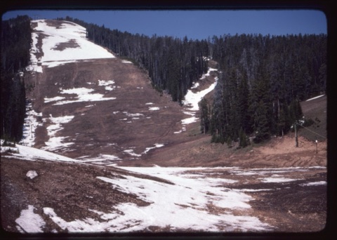 1982 Early Spring
