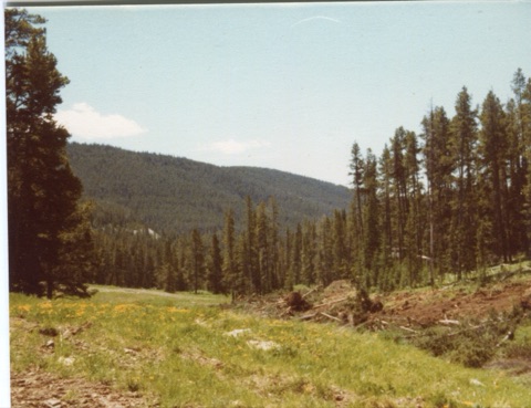 1979 Triple Chair Construction from Harlan Cory
